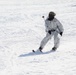 CWOC Class 18-04 students learn skiing techniques during Fort McCoy training