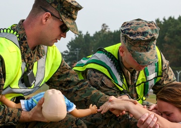 Vigilant Response 17