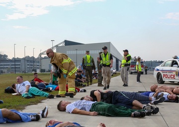 Vigilant Response 17