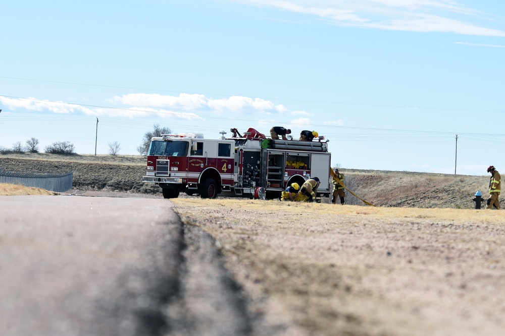 SFD demonstrates effectiveness