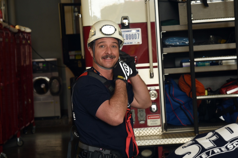 SFD demonstrates effectiveness