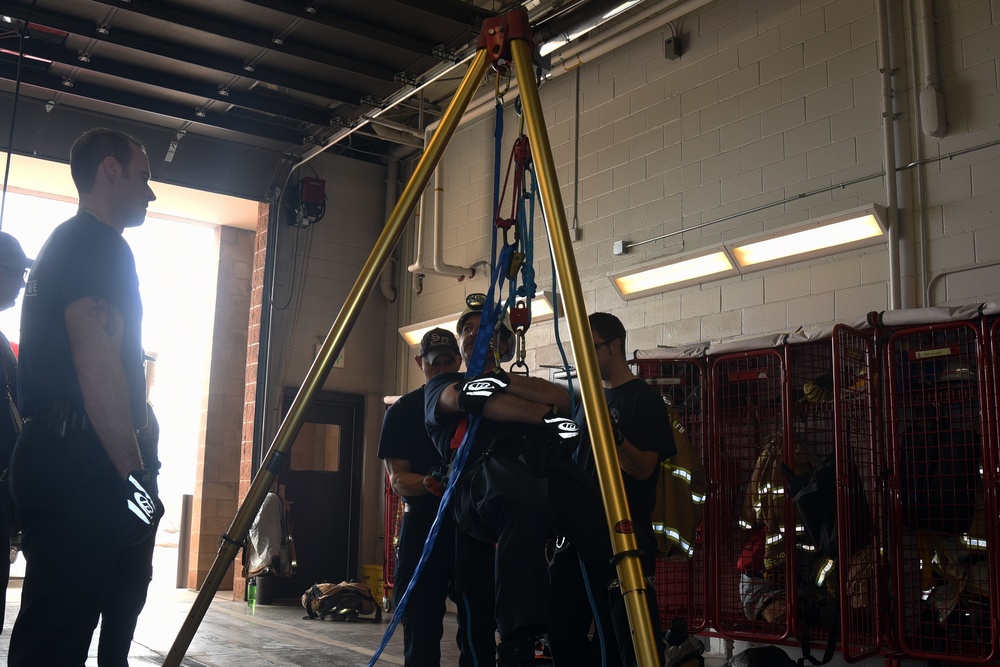 SFD demonstrates effectiveness