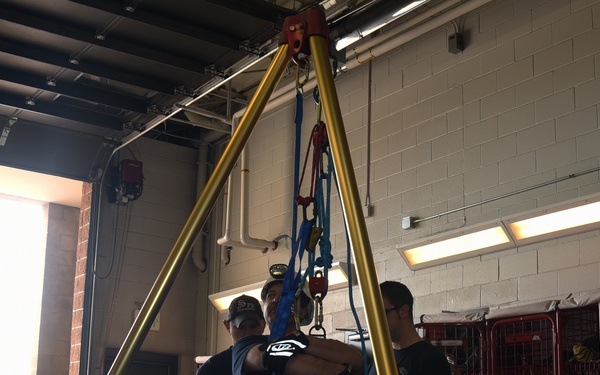 SFD demonstrates effectiveness