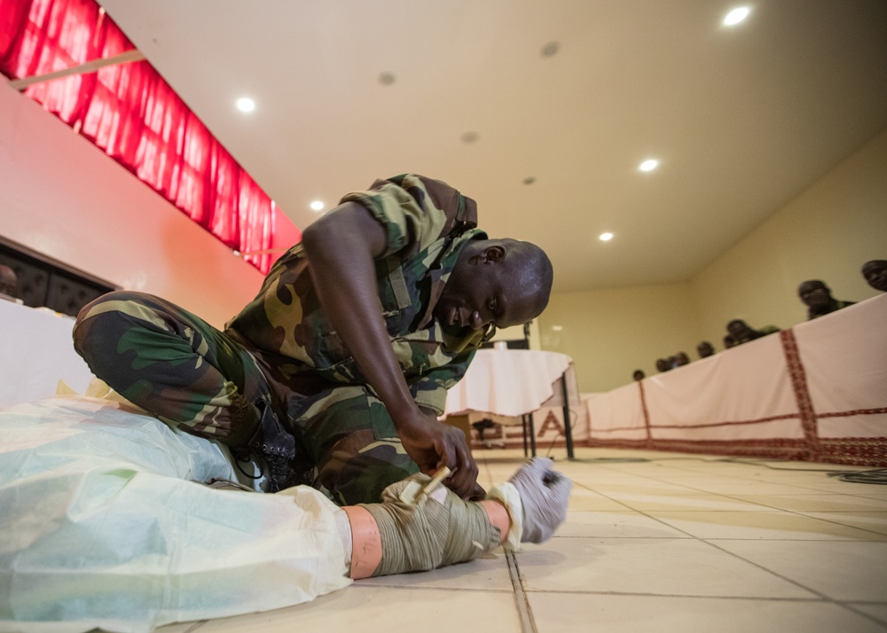 U.S. Army Africa begins first MEDRETE for 2018: American, Senegalese medical professionals treat patients, hone skills