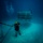 US Underwater Recovery Team Searches For Missing WWII Aviators in Palau