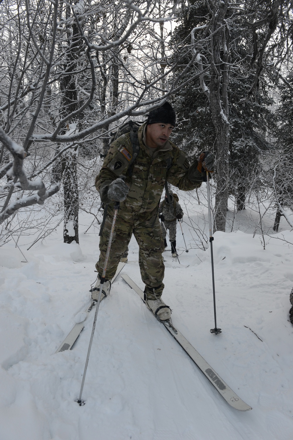 Soldiers learn skiing, snowshoeing in arctic conditions
