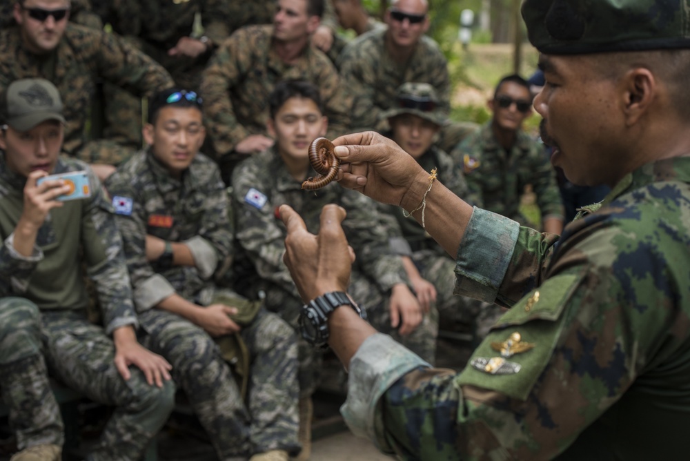 Cobra Gold 18: Allied Marines learn jungle survival skills