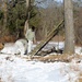 Cold-Weather Operations Course Class 18-04 students build improvised shelters during training at Fort McCoy