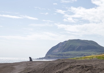 Remembering Iwo Jima