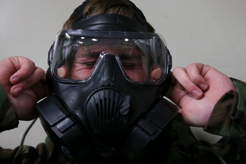 31st MEU Marines participate in annual gas chamber training