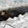 Cold-Weather Operations Course Class 18-04 students complete cold-water immersion training at Fort McCoy Cold-Weather Operations Course Class 18-04 students complete cold-water immersion training at Fort McCoy