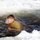 Cold-Weather Operations Course Class 18-04 students complete cold-water immersion training at Fort McCoy Cold-Weather Operations Course Class 18-04 students complete cold-water immersion training at Fort McCoy
