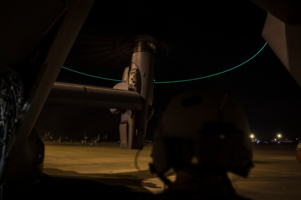 Ospreys fly under the cover of darkness