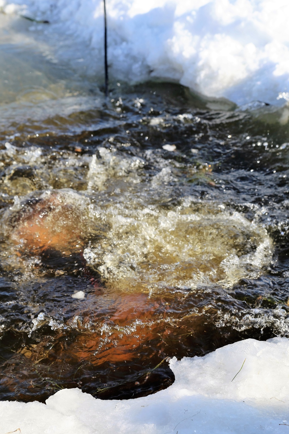 Cold-Weather Operations Course Class 18-04 students complete cold-water immersion training at Fort McCoy