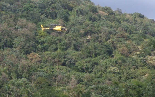 Restoring the electrical grid from the air