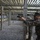 Pistol Marksmanship Qualification