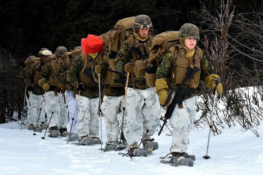 DVIDS - Images - Cold Corps Training [Image 18 of 30]