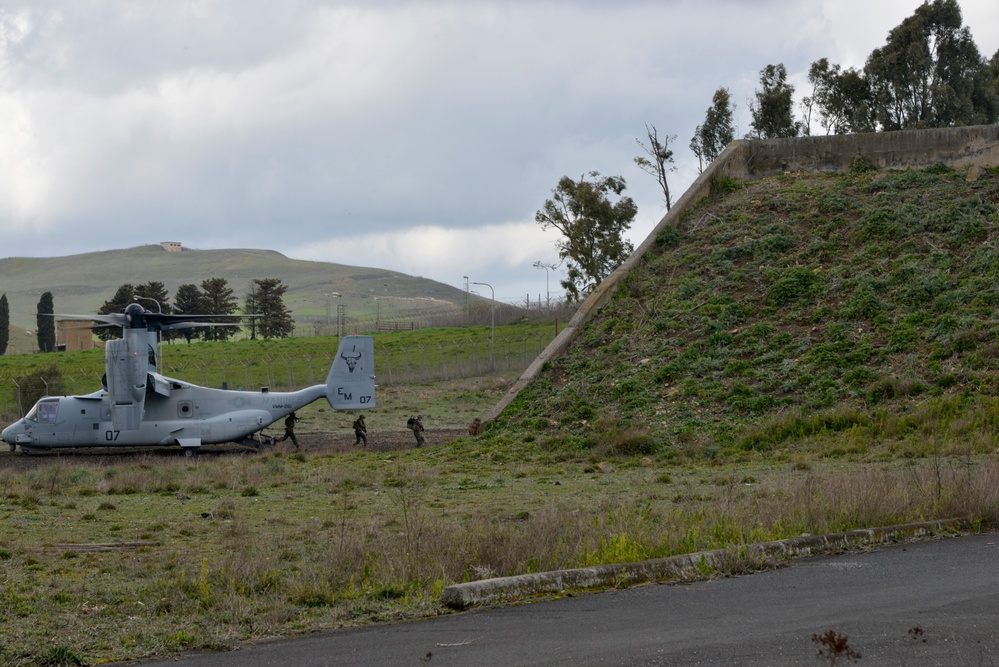 U.S. Marines demonstrate infantry capabilities