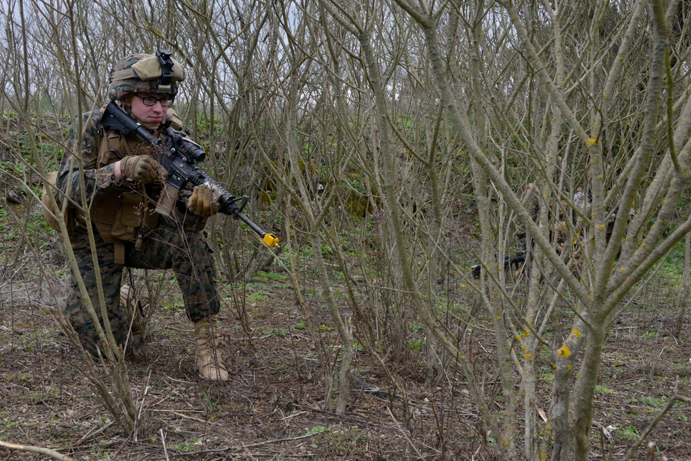 U.S. Marines demonstrate infantry capabilities