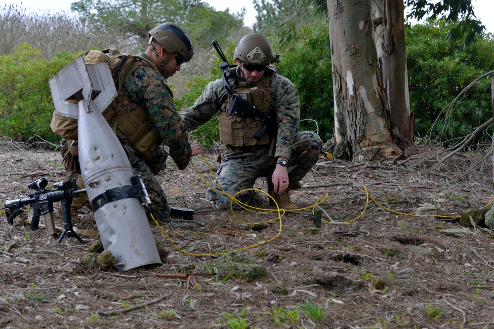 U.S. Marines demonstrate infantry capabilities