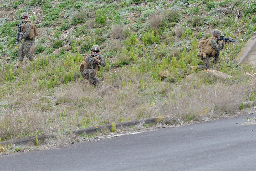 U.S. Marines demonstrate infantry capabilities