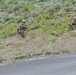 U.S. Marines demonstrate infantry capabilities