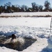 Frozen Badger: VMU-2 Polar Plunge