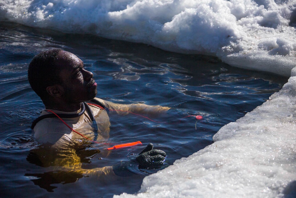 Frozen Badger: VMU-2 Polar Plunge
