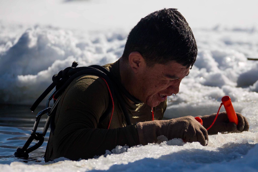 Frozen Badger: VMU-2 Polar Plunge