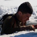 Frozen Badger: VMU-2 Polar Plunge