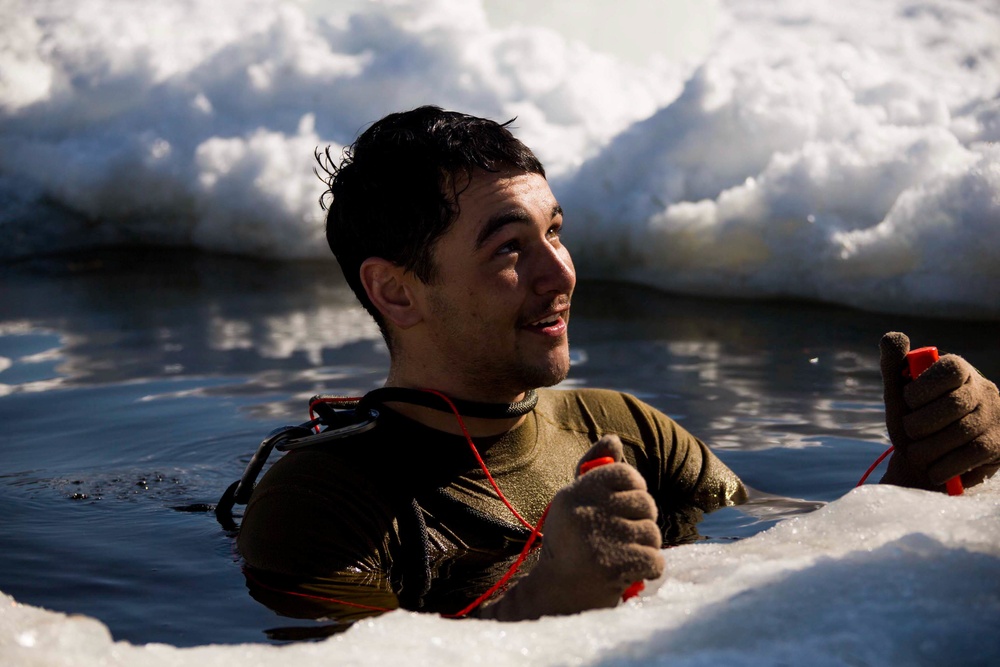 Frozen Badger: VMU-2 Polar Plunge