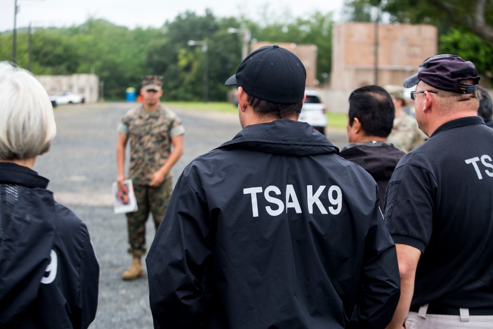 Hawaii Marines host inter-agency K-9 training exercise