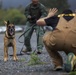 Hawaii Marines host inter-agency K-9 training exercise