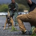 Hawaii Marines host inter-agency K-9 training exercise