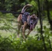 Hawaii Marines host inter-agency K-9 training exercise