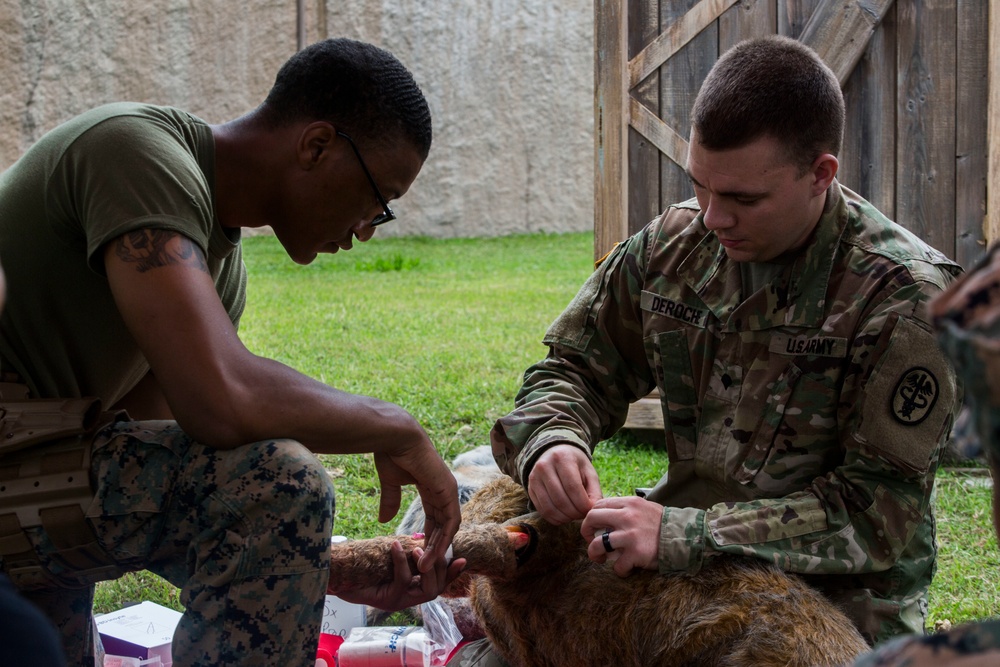 Hawaii Marines host inter-agency K-9 training exercise