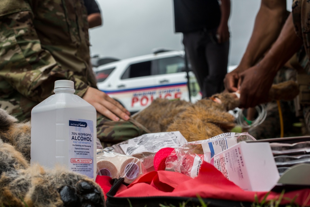 Hawaii Marines host inter-agency K-9 training exercise