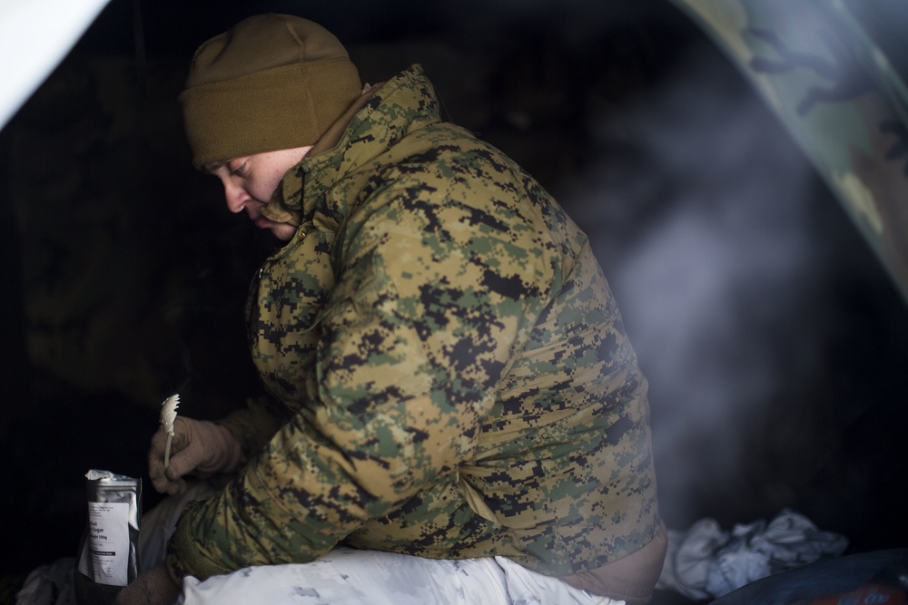 Marines particiapate in Exercise White Claymore