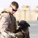 Soldiers and Marines and Dogs train together