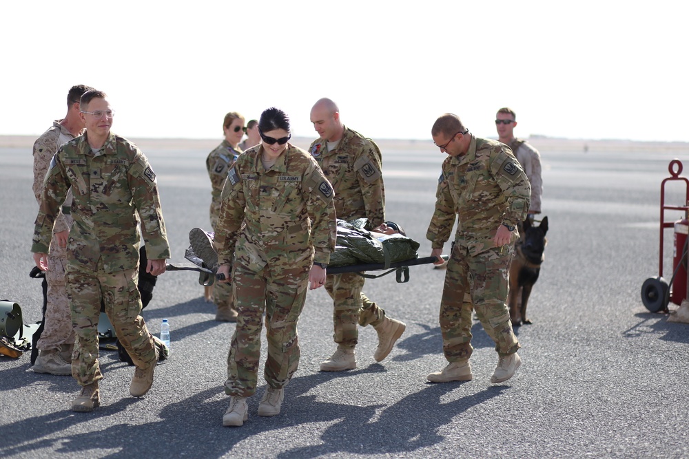Soldiers and Marines and Dogs train together