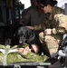 Soldiers and Marines and Dogs train together