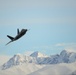 Raptors soar over JBER