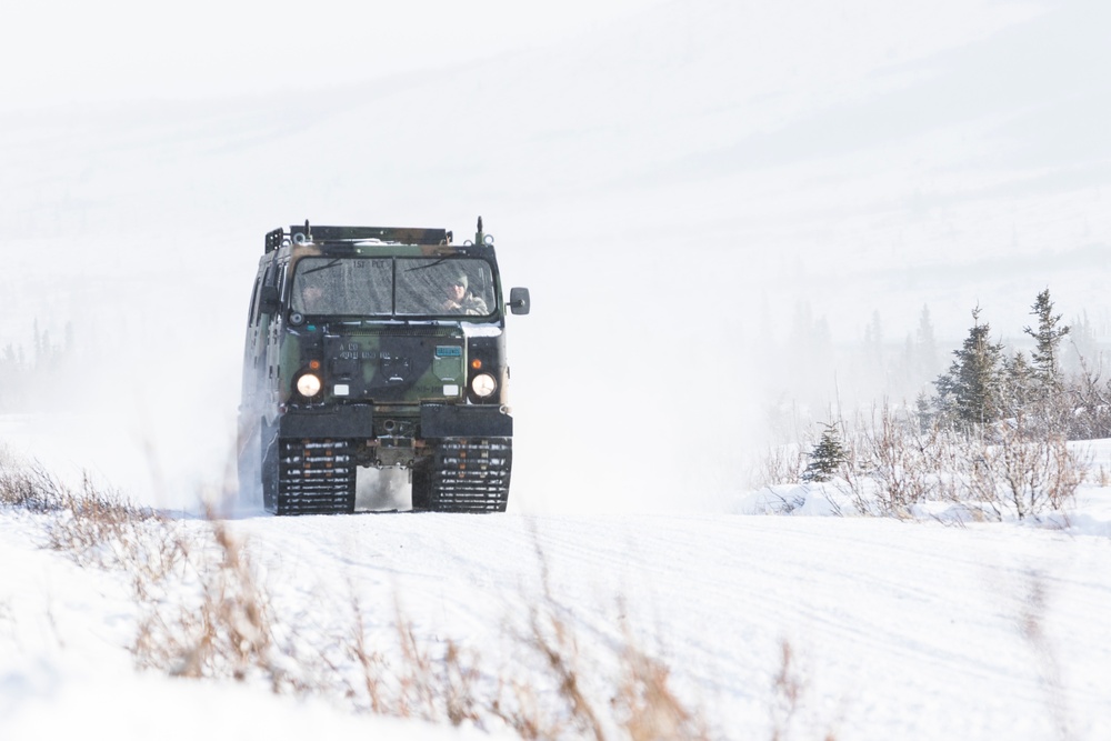 Guardsmen train at Donnelly Training Area during Arctic Eagle 2018