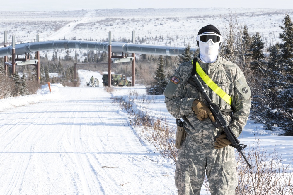 Guardsmen train at Donnelly Training Area during Arctic Eagle 2018