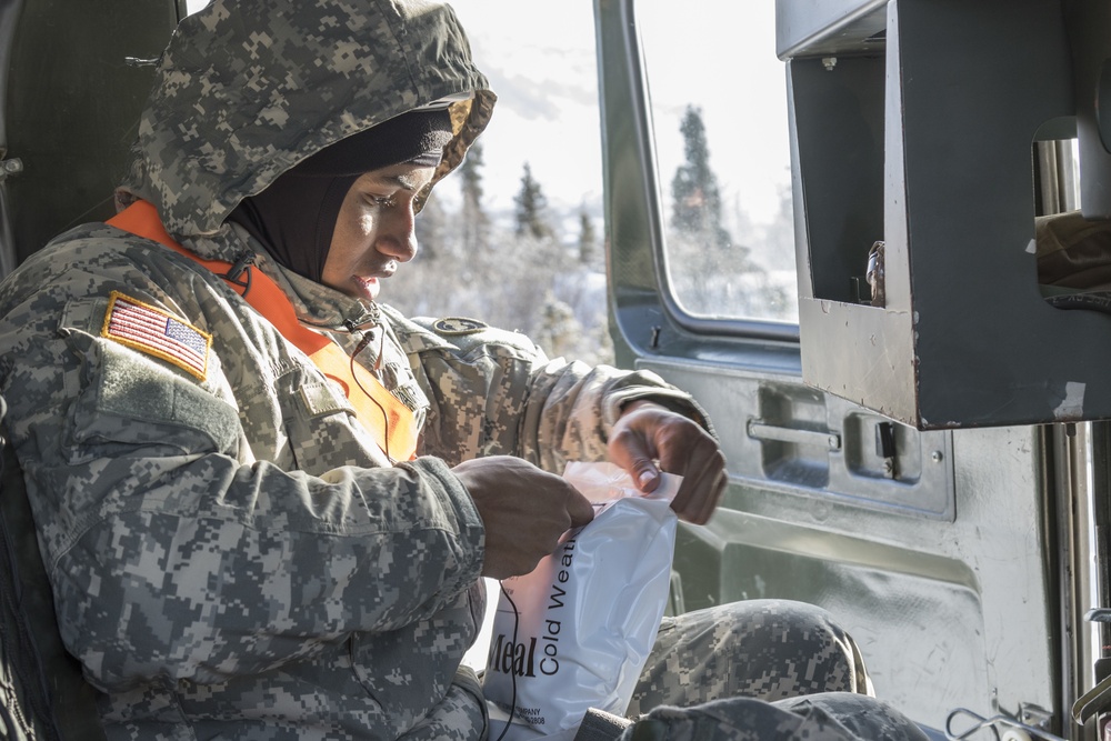 Guardsmen train at Donnelly Training Area during Arctic Eagle 2018