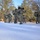 Cold-Weather Operations Course Class 18-05 students practice snowshoeing at Fort McCoy Cold-Weather Operations Course Class 18-05 students practice snowshoeing at Fort McCoy