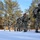 Cold-Weather Operations Course Class 18-05 students practice snowshoeing at Fort McCoy Cold-Weather Operations Course Class 18-05 students practice snowshoeing at Fort McCoy