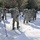 Cold-Weather Operations Course Class 18-05 students practice snowshoeing at Fort McCoy Cold-Weather Operations Course Class 18-05 students practice snowshoeing at Fort McCoy