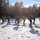 Cold-Weather Operations Course Class 18-05 students practice snowshoeing at Fort McCoy Cold-Weather Operations Course Class 18-05 students practice snowshoeing at Fort McCoy