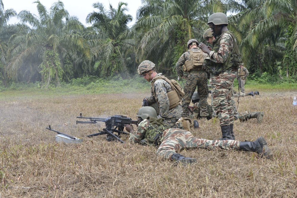 U.S. Marines train with Cameroon Marines